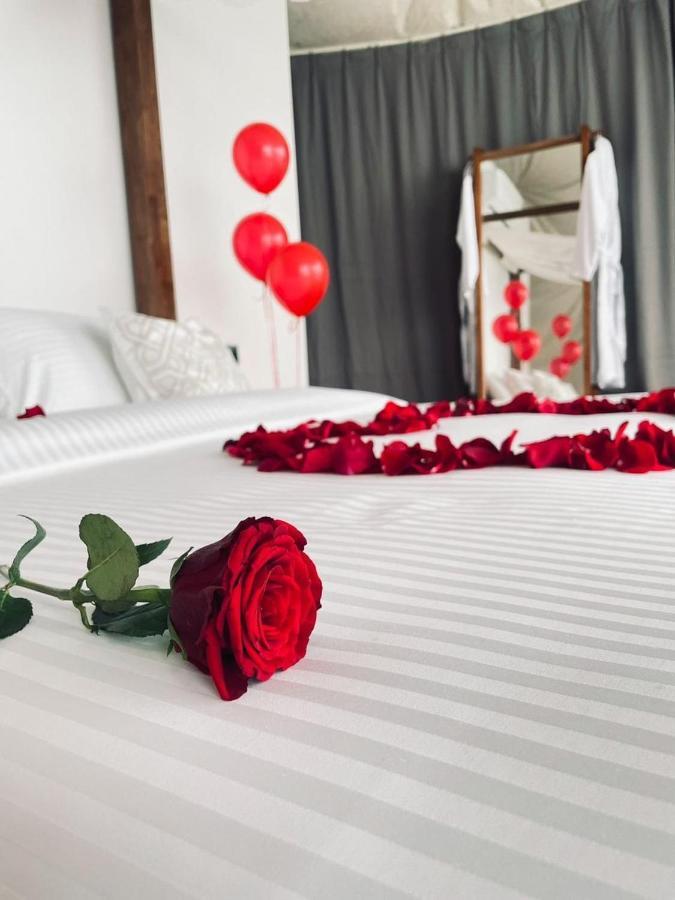 Tente de luxe Serene Glamping سيرين 5*